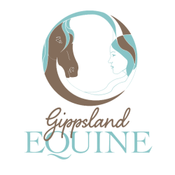 Gippsland Equine Counselling Psychotherapy Equine Therapy Horse Therapy